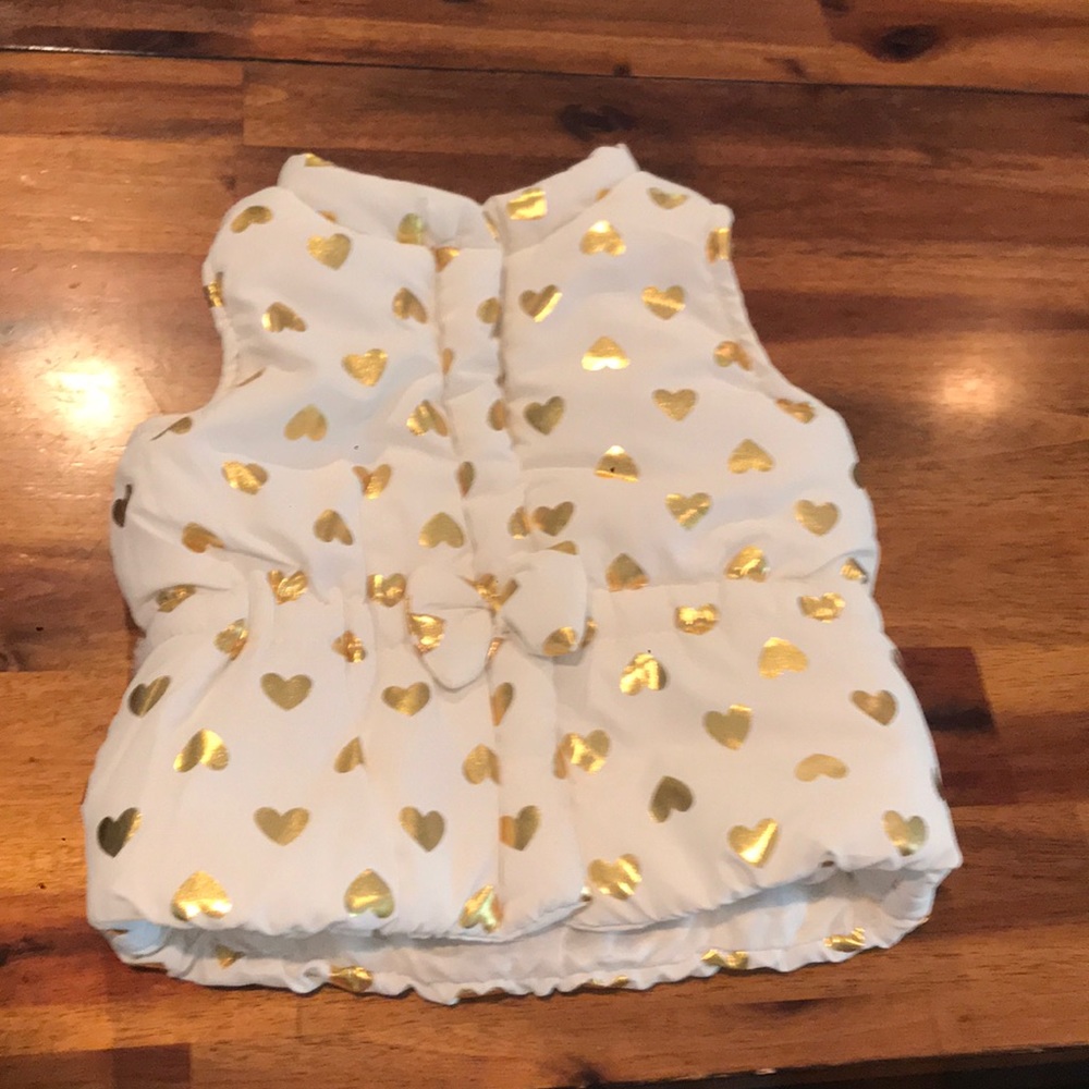 Baby Girl Fall/Spring Vest